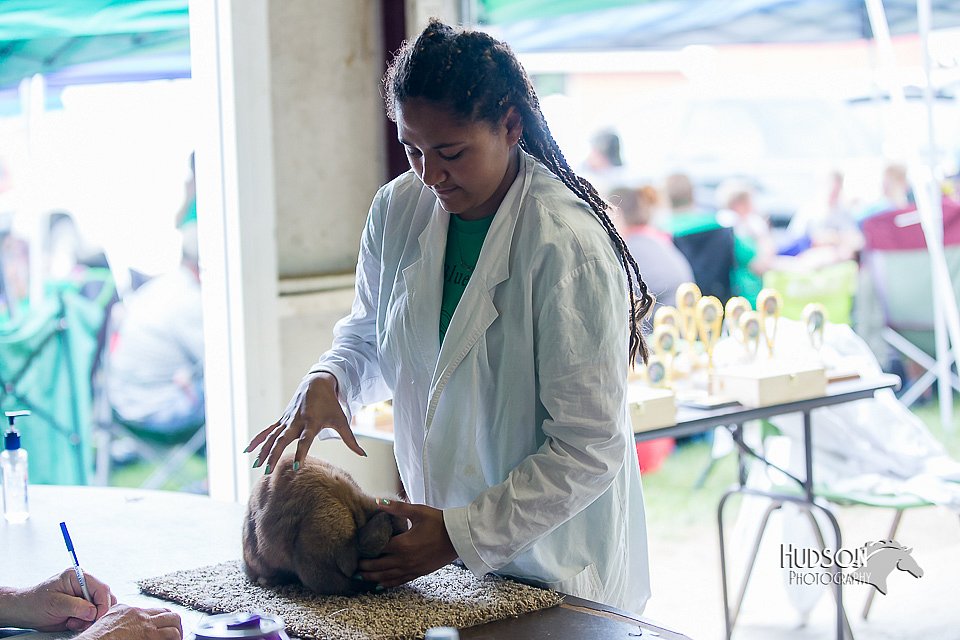 LCFair2016-0455.jpg