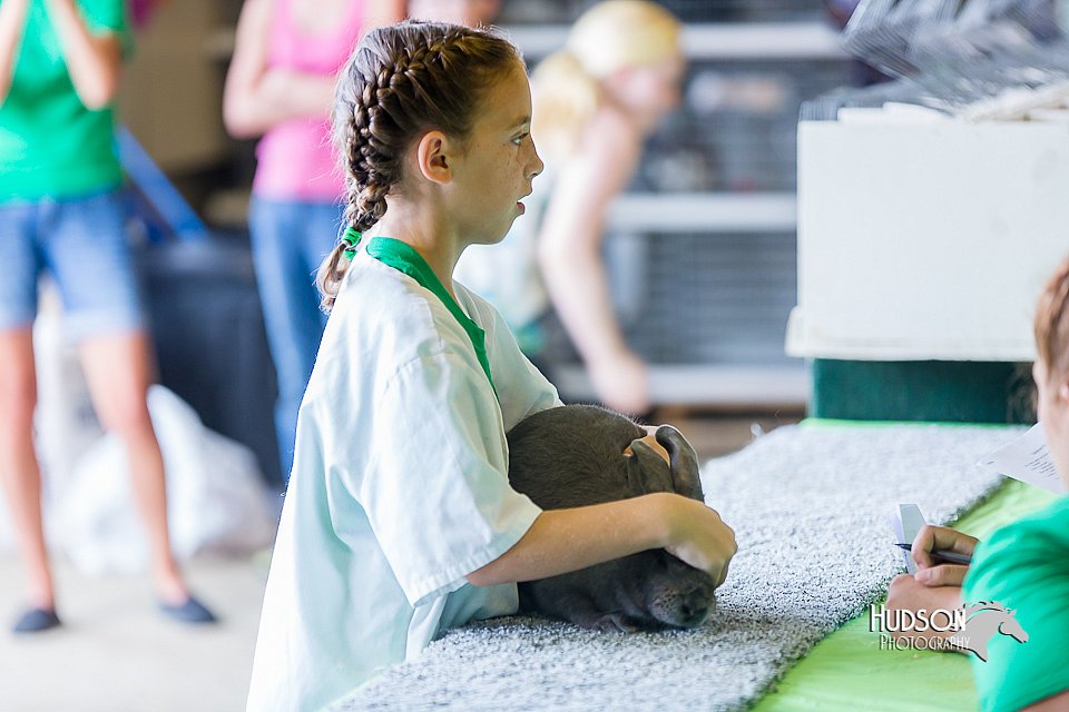 LCFair2016-0456.jpg
