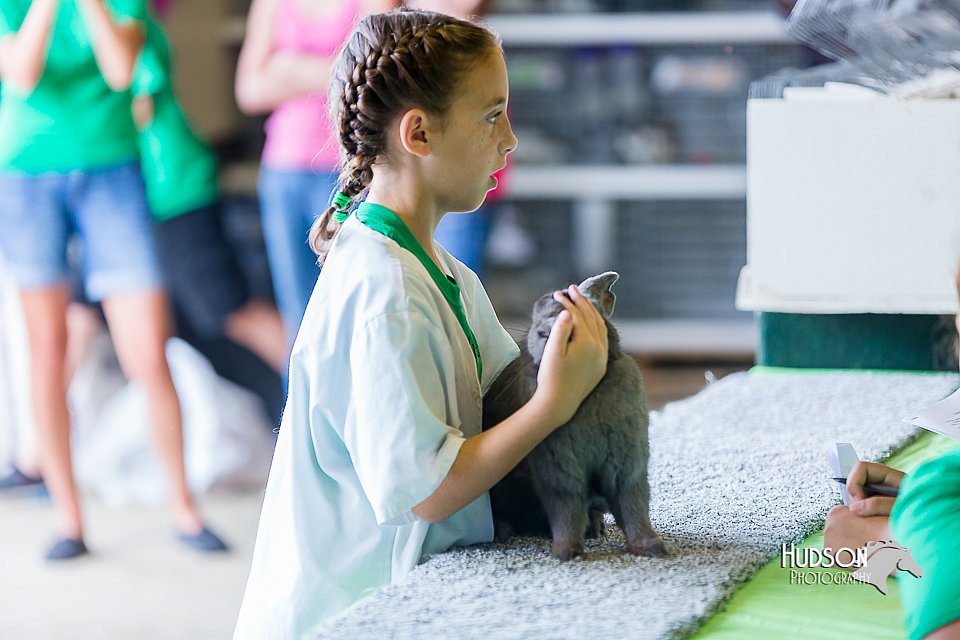LCFair2016-0458.jpg