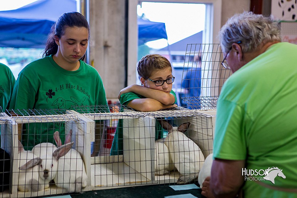 LCFair2016-0516.jpg