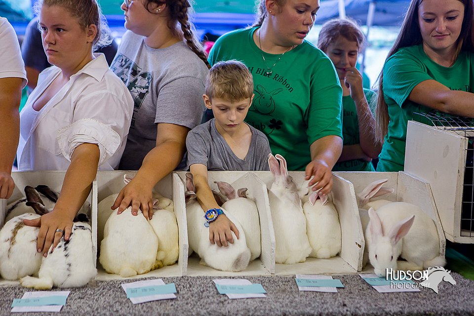 LCFair2016-0524.jpg