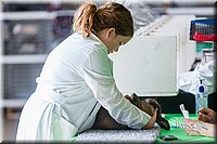 LCFair2016-0096.jpg