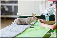 LCFair2016-0109.jpg