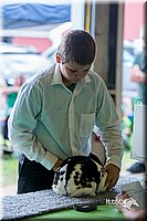 LCFair2016-0112.jpg