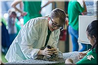LCFair2016-0238.jpg