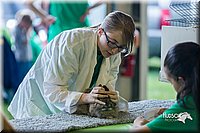 LCFair2016-0239.jpg