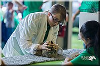 LCFair2016-0240.jpg