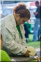 LCFair2016-0241.jpg