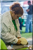 LCFair2016-0242.jpg