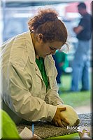 LCFair2016-0243.jpg