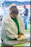 LCFair2016-0244.jpg