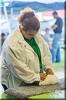 LCFair2016-0245.jpg