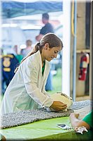 LCFair2016-0246.jpg