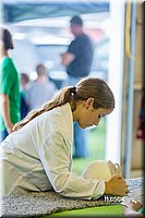 LCFair2016-0249.jpg