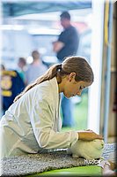 LCFair2016-0250.jpg