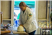 LCFair2016-0252.jpg