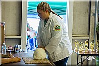 LCFair2016-0253.jpg