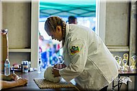 LCFair2016-0254.jpg