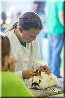 LCFair2016-0257.jpg