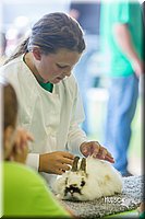 LCFair2016-0258.jpg