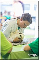 LCFair2016-0259.jpg