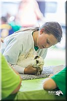 LCFair2016-0260.jpg