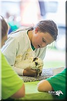 LCFair2016-0261.jpg