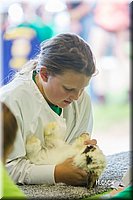 LCFair2016-0262.jpg