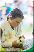 LCFair2016-0263.jpg