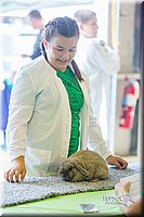 LCFair2016-0264.jpg