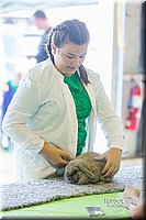 LCFair2016-0265.jpg