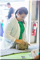 LCFair2016-0266.jpg
