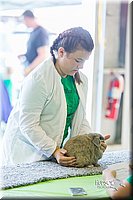 LCFair2016-0267.jpg