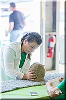 LCFair2016-0268.jpg