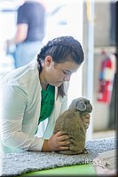 LCFair2016-0269.jpg