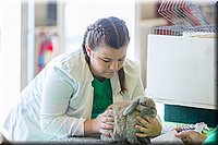 LCFair2016-0271.jpg