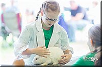 LCFair2016-0272.jpg