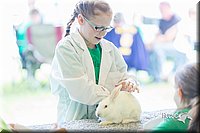 LCFair2016-0274.jpg