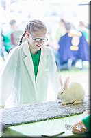 LCFair2016-0275.jpg