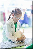 LCFair2016-0277.jpg