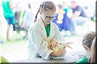 LCFair2016-0278.jpg
