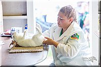 LCFair2016-0280.jpg