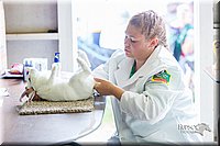 LCFair2016-0281.jpg