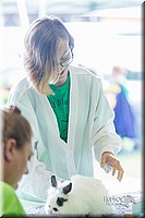 LCFair2016-0289.jpg