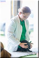 LCFair2016-0291.jpg