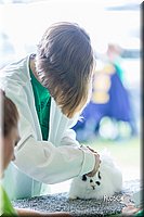 LCFair2016-0293.jpg