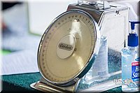 LCFair2016-0296.jpg
