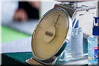 LCFair2016-0297.jpg