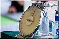 LCFair2016-0298.jpg