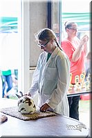 LCFair2016-0301.jpg